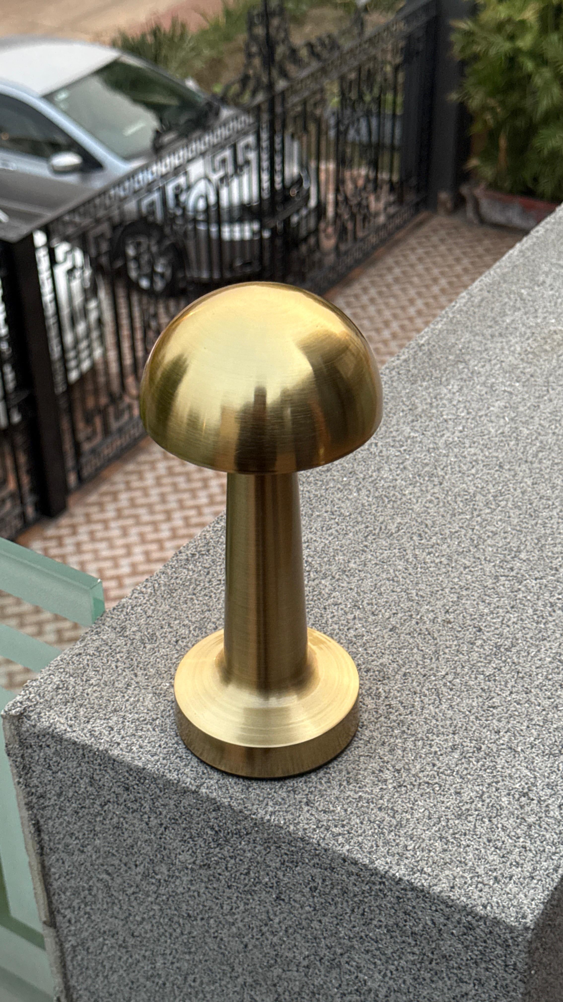 Rechargeable Mushroom Table Lamp.